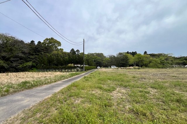 草に覆われた、使われていない広い土地